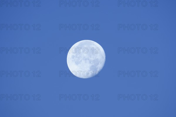 Full moon, North Rhine-Westphalia, Germany