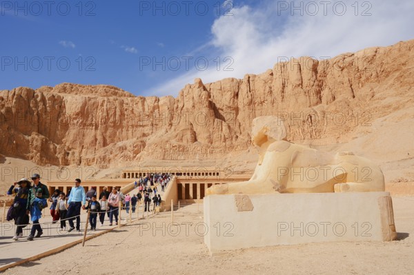 Sphinx and Hatshepsut Temple, Mortuary Temple of Hatshepsut, Deir el-Bahari, Thebes, Luxor, Egypt