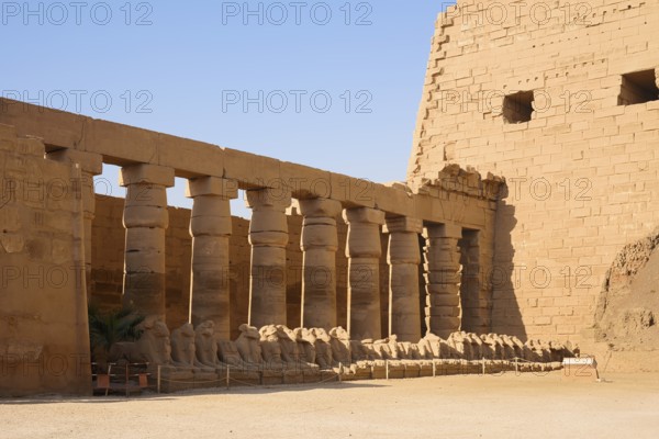 Ram sphinxes or sphinxes in front of the colonnades, Karnak Temple, Luxor, Egypt