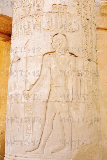 Column with relief, double temple of Kom Ombo, Kom Ombo, Egypt
