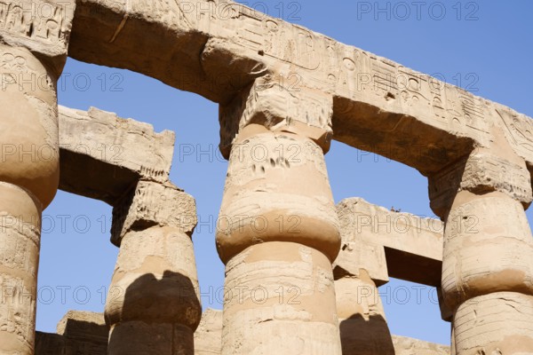 Columns, Luxor Temple, Luxor, Egypt