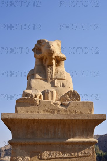 Sphinx, Karnak Temple, Luxor, Egypt