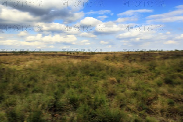 Heath landscape, blurred, Cumulus, Diepholz, Lower Saxony, Germany