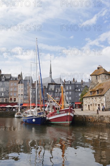 Sailing boat and fishing boat in the Vieux Bassin harbour basin, Honfleur, Cote Fleurie, Pays d'Auge, Département Calvados, Normandy, France