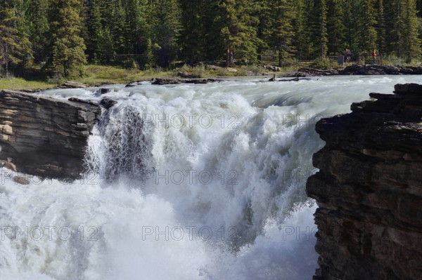 Athabasca Falls waterfall, Athabasca River, Icefields Parkway, Jasper National Park, Alberta, Canada