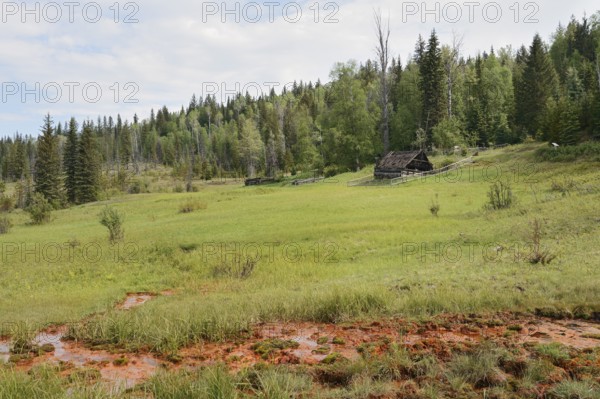 Mineral Springs, Wells Gray Provincial Park, British Columbia, Canada