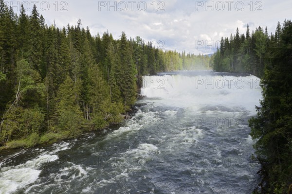 Dawson Falls waterfall, Murtle River, Wells Gray Provincial Park, British Columbia, Canada
