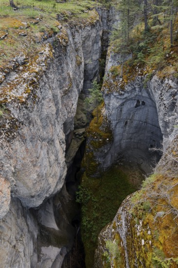 Maligne Canyon, Jasper National Park, Alberta, Canada