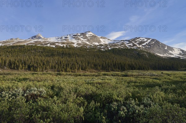 Mountains at Sunwapta Pass, Icefields Parkway, Jasper National Park, Alberta, Canada