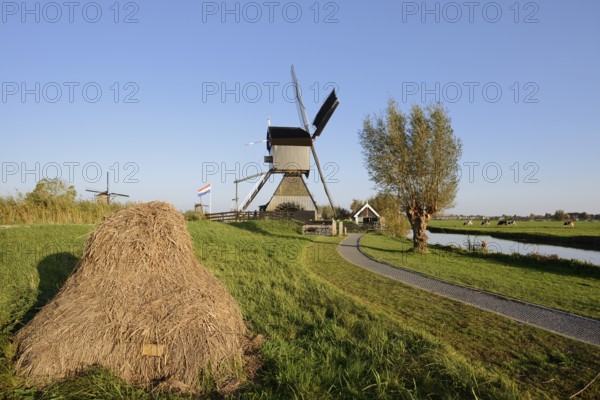 Historic windmill, UNESCO World Heritage Site, Kinderdijk, South Holland, Netherlands