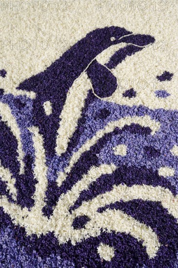 Floral mosaic of a dolphin made of hyacinth blossoms, De Zilk, South Holland, Netherlands
