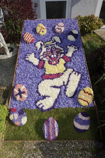 Flower mosaic of hyacinth blossoms, De Zilk, South Holland, Netherlands
