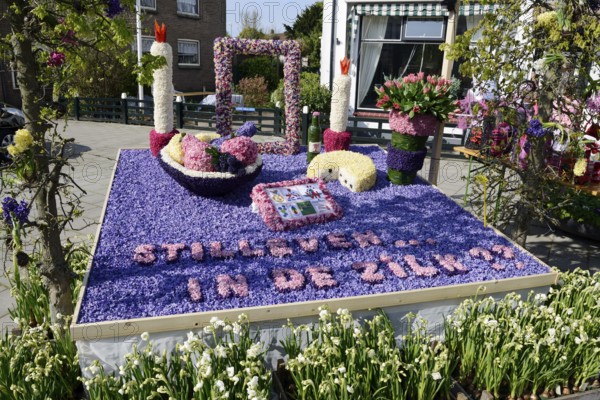 Flower mosaic of hyacinth blossoms, De Zilk, South Holland, Netherlands