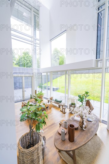 Bright room with plants and decorations, flooded with daylight through large windows, Frieder Burda Museum, Baden Baden, Germany