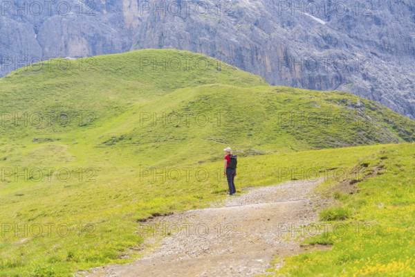 Person hiking alone on a path in a mountain landscape, Alpe di Siusi, Dolomites, South Tyrol, Italy