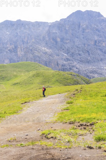 Person standing on a path through green meadows with rocky mountains in the background, Alpe di Siusi, Dolomites, South Tyrol, Italy