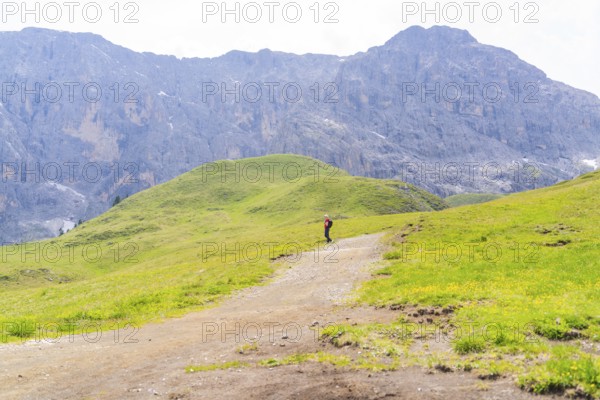Lone person on a hiking trail in a vast, green mountain landscape, Alpe di Siusi, Dolomites, South Tyrol, Italy