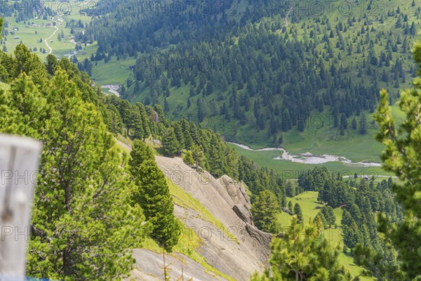 View of forested mountains with a river, green landscape under a sunny sky, Alpe di Siusi, Dolomites, South Tyrol, Italy
