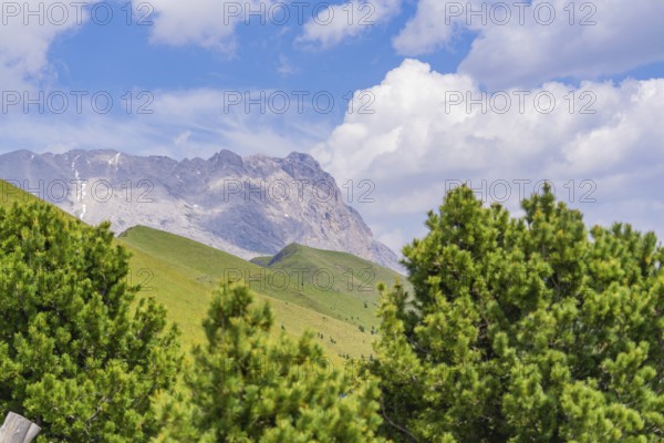 Mountain landscape with conifers and blue sky with clouds, Alpe di Siusi, Dolomites, South Tyrol, Italy