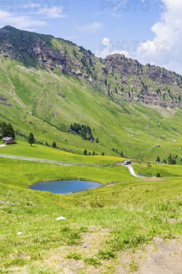 Small lake in a green, hilly landscape under a blue sky, Alpe di Siusi, Dolomites, South Tyrol, Italy