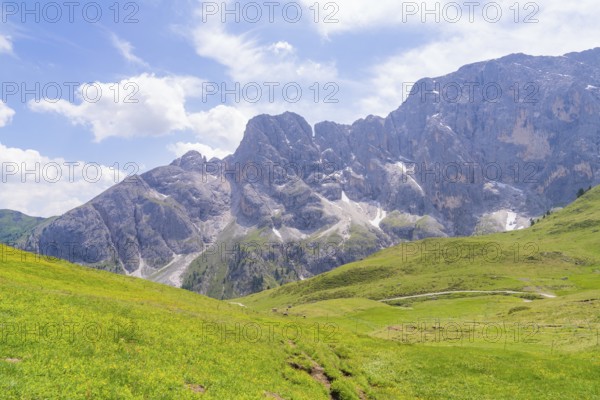 An expansive mountain landscape with green meadows under a partly cloudy sky, Alpe di Siusi, Dolomites, South Tyrol, Italy