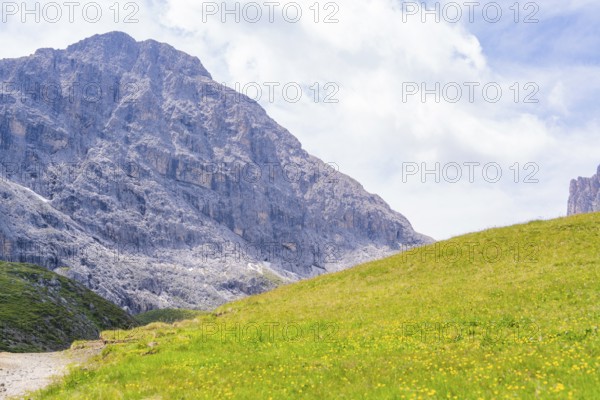 Large mountains rise above a green meadow under a cloudy sky, Alpe di Siusi, Dolomites, South Tyrol, Italy