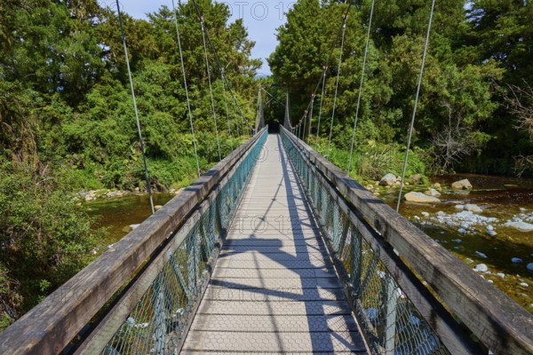 Long suspension bridge over a river, surrounded by dense forest, summer, Lake Matheson, Fox Glacier, South Island, New Zealand