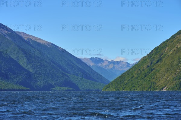 View over a lake between green mountains under a cloudless sky, summer, Lake Rotoiti, Saint Arnaud, Tasman Region, South Island, New Zealand