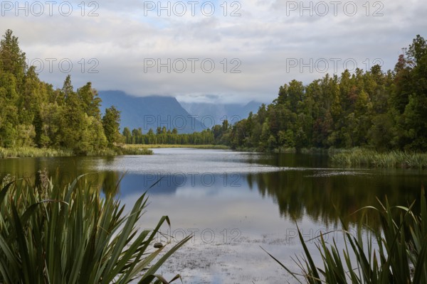 A calm lake with mountains in the background and a clear reflection in the water, summer, Lake Matheson, Fox Glacier, South Island, New Zealand