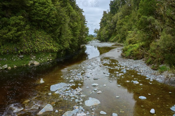 Shallow river with stones, surrounded by dense forest and cloudy sky, summer, Lake Matheson, Fox Glacier, South Island, New Zealand