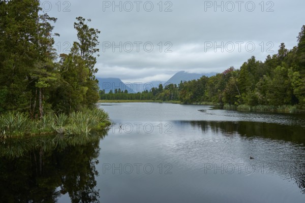 A peaceful lake surrounded by trees, with mountains on the horizon under a cloudy sky, summer, Lake Matheson, Fox Glacier, South Island, New Zealand