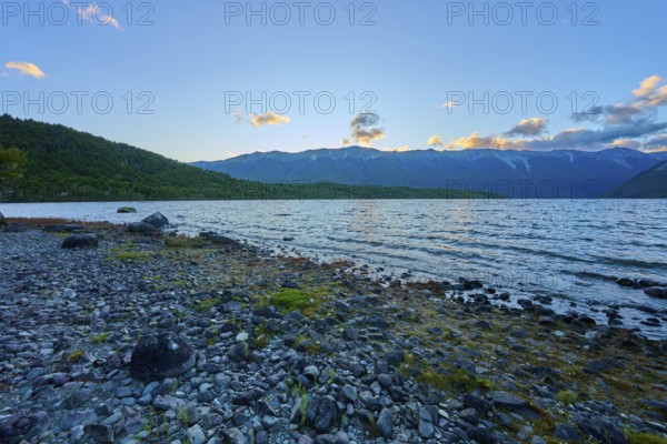 Rocky beach at dusk, calm lake with mountains in the background, summer, Lake Rotoiti, Saint Arnaud, Tasman Region, South Island, New Zealand