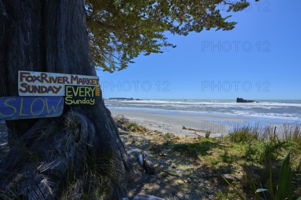 Beach with sea view and a tree with signs in front of it, Fox River, West Coast, South Island, New Zealand