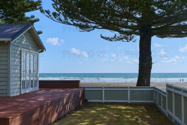 Beach house next to tall trees with a view of the calm sea and blue sky, North Island, New Zealand