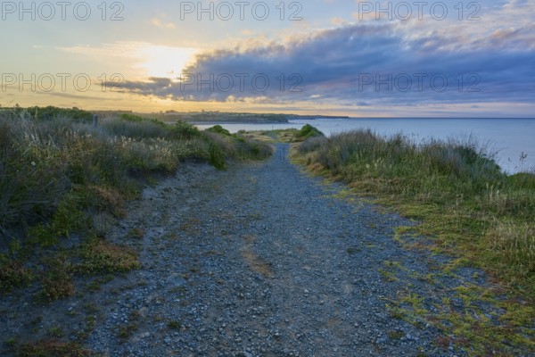 Pebble path along the coast at sunset, clouds and grass in the foreground, summer, Opunake, Taranaki, North Island, New Zealand