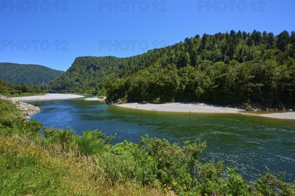 River in the middle of forests with blue sky and mountains in the background, Kilkenny Lookout, Lower Buller Gorge, Buller River, South Island, New Zealand