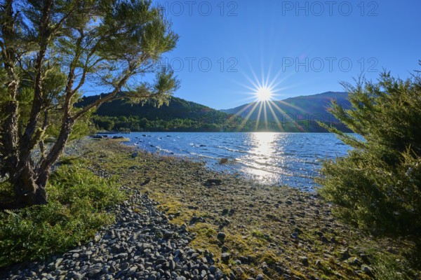 Sunbeams bathe the calm lake and the wooded shores in a warm light, summer, Lake Rotoiti, Saint Arnaud, Tasman Region, South Island, New Zealand