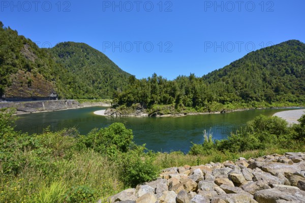 Clear river landscape surrounded by forested mountains and bright blue sky, Kilkenny Lookout, Lower Buller Gorge, Buller River, South Island, New Zealand