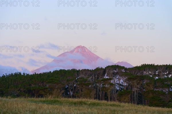 A volcano Mount Taranaki at dusk behind a row of trees with a slightly cloudy sky, summer, Opunake, Taranaki, North Island, New Zealand