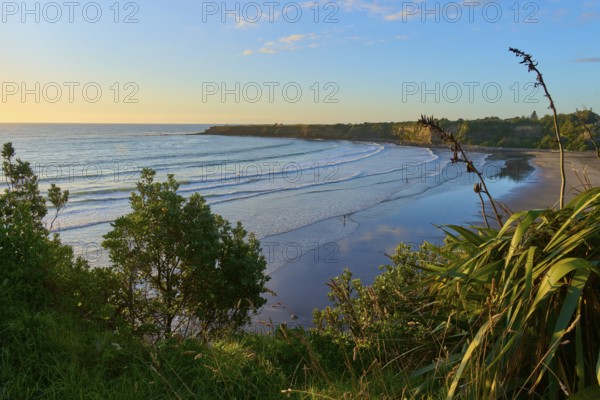 Malibu-like bay by the sea with gentle waves under a clear sky at sunset, summer, Opunake, Taranaki, North Island, New Zealand
