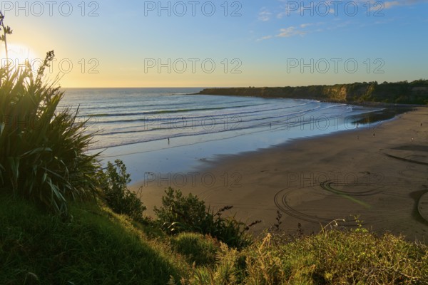 Spacious sandy beach by the sea at sunset, surrounded by vegetation, summer, Opunake, Taranaki, North Island, New Zealand