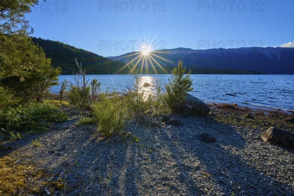 Sunbeams over a lake with mountains and plants in the foreground, summer, Lake Rotoiti, Saint Arnaud, Tasman Region, South Island, New Zealand