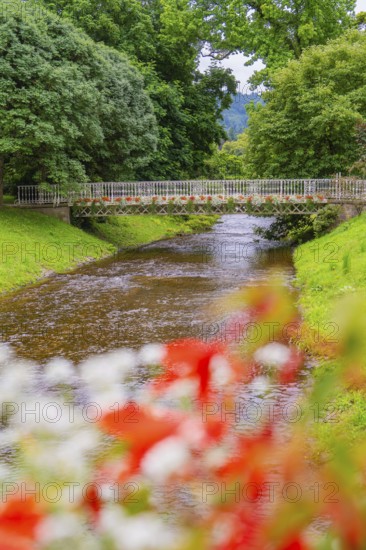 River with a decorative bridge, lined with flowers and lush nature, conveys a peaceful atmosphere, Baden Baden, Germany