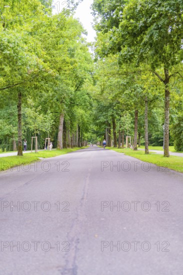 Long avenue flanked by trees and surrounded by greenery, creates a calm and symmetrical atmosphere, Baden Baden, Germany