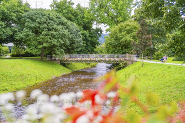 A quiet river with a small bridge, surrounded by green trees and colourful flowers, invites you to take a relaxing stroll, Baden Baden, Germany