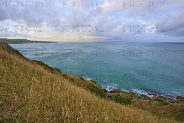 Calm seascape with grassy hill and wide horizon, summer, Nugget Point lighthouse, Ahuriri Flat, Otago, South Island, New Zealand