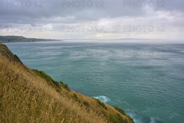 Wide sea view with grassy coast under cloudy sky, summer, Nugget Point lighthouse, Ahuriri Flat, Otago, South Island, New Zealand