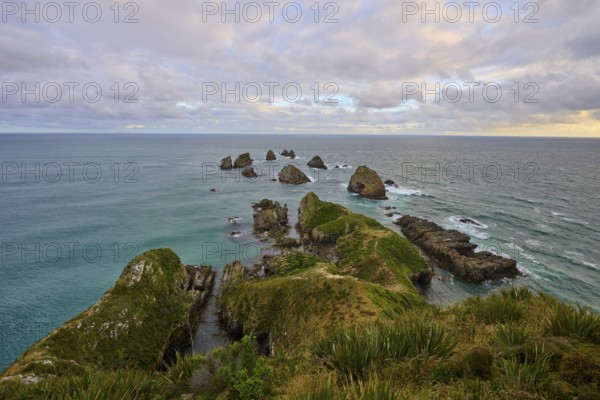 View of a rocky coastal landscape with dramatic cloudy sky, summer, Nugget Point lighthouse, Ahuriri Flat, Otago, South Island, New Zealand