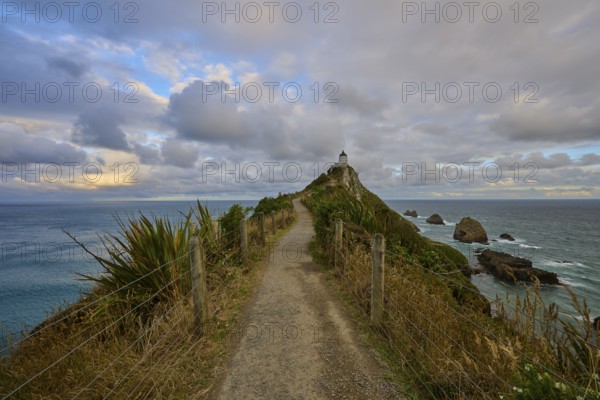 A path on a cliff leads to a lighthouse under a dramatic sky, summer, Nugget Point Lighthouse, Ahuriri Flat, Otago, South Island, New Zealand