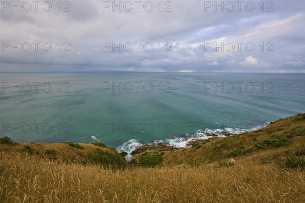 View of the open sea and the coast from grassy cliffs, summer, Nugget Point lighthouse, Ahuriri Flat, Otago, South Island, New Zealand